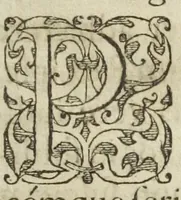 An illustration from Jos. Quercetani cons. et medici regii liber De Priscorum Philosophorum veræ medicinæ materia, præparationis modo, atque in curandis morbis, præstantia. Déque simplicium, & rerum signaturis tum externis, tum internis, seu specificis, à priscis & Hermeticis Philosophis multa cura, singularique industria comparatis, atque introductis, duo tractatus. His accesserunt eiusdem Ios. Quercetani de dogmaticorum medicorum legitima, & restituta medicamentorum praeparatione, libri duo. (1603)