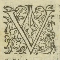 An illustration from Jos. Quercetani doct. medicique regii. Ad veritatem hermeticæ medicinæ ex Hippocratis veterumque decretis ac therapeusi : necnon vivæ rerum anatomiæ exegesi ipsiusque naturæ luce stabiliendam, adversus cujusdam anonymi phantasmata responsio. [Suivi de :] Jos. Quercetani doct. medicique regii. Ad veritatem hermeticæ medicinæ, ex Hippocratis etiam veterumque decretis ac Therapeusi propugnandam. Adversus cujusdam anonymi phantasmata dilucida responsio. Tractatus secundus. (1604)