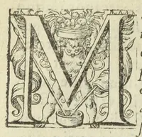 An illustration from Jos. Quercetani doct. medicique regii. Ad veritatem hermeticæ medicinæ ex Hippocratis veterumque decretis ac therapeusi : necnon vivæ rerum anatomiæ exegesi ipsiusque naturæ luce stabiliendam, adversus cujusdam anonymi phantasmata responsio. [Suivi de :] Jos. Quercetani doct. medicique regii. Ad veritatem hermeticæ medicinæ, ex Hippocratis etiam veterumque decretis ac Therapeusi propugnandam. Adversus cujusdam anonymi phantasmata dilucida responsio. Tractatus secundus. (1604)