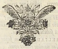 An illustration from Joan. Bapt. Du Hamel De meteoris et fossilibus libri duo. In priore libro mixta imperfecta, quæque in sublimi aëre vel gignuntur, vel apparent, fusè pertractantur. Posterior liber mixta perfecta complectitur ; ubi salium, bituminum, lapidum, gemmarum, & metallorum naturæ, causæ, & usus inquiruntur. (1660)
