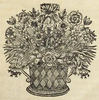 An illustration from Joan. Bapt. Du Hamel De meteoris et fossilibus libri duo. In priore libro mixta imperfecta, quæque in sublimi aëre vel gignuntur, vel apparent, fusè pertractantur. Posterior liber mixta perfecta complectitur ; ubi salium, bituminum, lapidum, gemmarum, & metallorum naturæ, causæ, & usus inquiruntur. (1660)