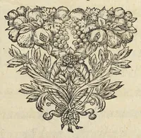 An illustration from Joan. Bapt. Du Hamel De meteoris et fossilibus libri duo. In priore libro mixta imperfecta, quæque in sublimi aëre vel gignuntur, vel apparent, fusè pertractantur. Posterior liber mixta perfecta complectitur ; ubi salium, bituminum, lapidum, gemmarum, & metallorum naturæ, causæ, & usus inquiruntur. (1660)