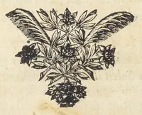 An illustration from Joan. Bapt. Du Hamel De meteoris et fossilibus libri duo. In priore libro mixta imperfecta, quæque in sublimi aëre vel gignuntur, vel apparent, fusè pertractantur. Posterior liber mixta perfecta complectitur ; ubi salium, bituminum, lapidum, gemmarum, & metallorum naturæ, causæ, & usus inquiruntur. (1660)