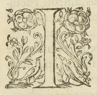 An illustration from Au Roy [à propos du Jardin des plantes] (1620)