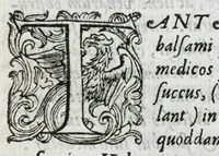 An illustration from Prosperi Alpini De plantis Aegypti liber. In quo non pauci, qui circa herbarum materiam irrepserunt, errores, deprehenduntur, quorum causa hactenus multa medicamenta ad usum medicine admodum expetenda, plerisque medicorum, non sine artis iactura, occulta, atque obsoleta iacuerunt... Accessit etiam liber de balsamo aliàs editus (1592)