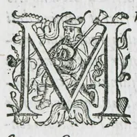 An illustration from Prosperi Alpini De plantis Aegypti liber. In quo non pauci, qui circa herbarum materiam irrepserunt, errores, deprehenduntur, quorum causa hactenus multa medicamenta ad usum medicine admodum expetenda, plerisque medicorum, non sine artis iactura, occulta, atque obsoleta iacuerunt... Accessit etiam liber de balsamo aliàs editus (1592)
