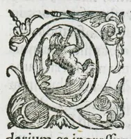 An illustration from Prosperi Alpini De plantis Aegypti liber. In quo non pauci, qui circa herbarum materiam irrepserunt, errores, deprehenduntur, quorum causa hactenus multa medicamenta ad usum medicine admodum expetenda, plerisque medicorum, non sine artis iactura, occulta, atque obsoleta iacuerunt... Accessit etiam liber de balsamo aliàs editus (1592)