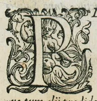 An illustration from Prosperi Alpini De plantis Aegypti liber. In quo non pauci, qui circa herbarum materiam irrepserunt, errores, deprehenduntur, quorum causa hactenus multa medicamenta ad usum medicine admodum expetenda, plerisque medicorum, non sine artis iactura, occulta, atque obsoleta iacuerunt... Accessit etiam liber de balsamo aliàs editus (1592)