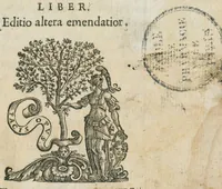 An illustration from Prosperi Alpini de Plantis Ægypti liber cum observationibus et notis Ioannis Veslingii mindani, equitis... Accessit Alpini de balsamo liber. Editio altera emendatior. (1640)