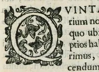 An illustration from Prosperi Alpini de Plantis Ægypti liber cum observationibus et notis Ioannis Veslingii mindani, equitis... Accessit Alpini de balsamo liber. Editio altera emendatior. (1640)