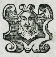 An illustration from Prosperi Alpini de Plantis Ægypti liber cum observationibus et notis Ioannis Veslingii mindani, equitis... Accessit Alpini de balsamo liber. Editio altera emendatior. (1640)