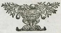 An illustration from Prosperi Alpini de Plantis Ægypti liber cum observationibus et notis Ioannis Veslingii mindani, equitis... Accessit Alpini de balsamo liber. Editio altera emendatior. (1640)
