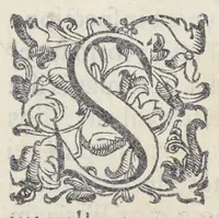 An illustration from Adriani Spigelii Bruxellensis philosophi ac med. pat. Isagoges in rem herbariam libri duo. Ad illustrissimam quae patavii est germanicam nationem. (1606)