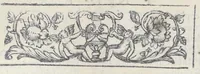 An illustration from Adriani Spigelii Bruxellensis philosophi ac med. pat. Isagoges in rem herbariam libri duo. Ad illustrissimam quae patavii est germanicam nationem. (1606)