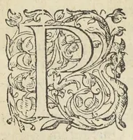 An illustration from Hortorum secreta, cultus, et auxilia, amœnæ voluptatis, & inenarabilis utilitatis abunde plena: rerúmque variarum accessione nunc primùm aucta & illustrata. Autore Antonio Mizaldo Monluciensi, medico. (1575)
