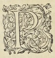 An illustration from Hortorum secreta, cultus, et auxilia, amœnæ voluptatis, & inenarabilis utilitatis abunde plena: rerúmque variarum accessione nunc primùm aucta & illustrata. Autore Antonio Mizaldo Monluciensi, medico. (1575)