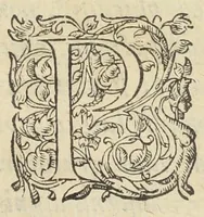 An illustration from Opusculum de sena, planta inter omnes, quotquot sunt, hominibus beneficentissima & saluberrima. Autore Antonio Mizaldo Monluciano, medico. (1574)