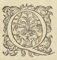 An illustration from Opusculum de sena, planta inter omnes, quotquot sunt, hominibus beneficentissima & saluberrima. Autore Antonio Mizaldo Monluciano, medico. (1574)