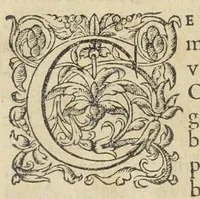 An illustration from Artificiosa methodus comparandorum hortensium fructuum, olerum, radicum, uvarum, vinorum, carnium & jusculorum quæ corpus clementer purgent, & variis morbis, absque ulla noxa & nausea, blande succurrant. Autore Ant. Mizaldo Monluciensi, medico. (1575)