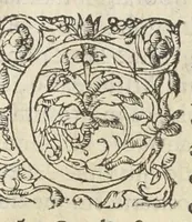 An illustration from Artificiosa methodus comparandorum hortensium fructuum, olerum, radicum, uvarum, vinorum, carnium & jusculorum quæ corpus clementer purgent, & variis morbis, absque ulla noxa & nausea, blande succurrant. Autore Ant. Mizaldo Monluciensi, medico. (1575)