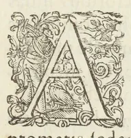An illustration from Pauli Renealmi Blaesensis doctoris medici Specimen historiæ plantarum. Plantæ typis æneis expressæ. (1611)