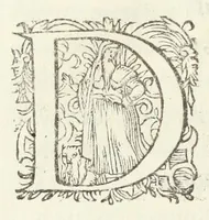 An illustration from Crambe. Viola. Lilium. Phlogis. Terpsinoe (1611)