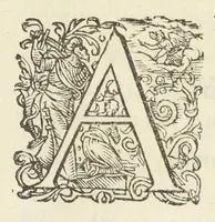 An illustration from Crambe. Viola. Lilium. Phlogis. Terpsinoe (1611)