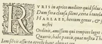An illustration from Crambe. Viola. Lilium. Phlogis. Terpsinoe (1611)