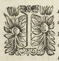 An illustration from La pharmacopée de Bauderon reveüe, et exactement corrigée en plus de treize cens endroits, des fautes qui s'étoient glissées dans les precedentes editions. Et de nouveau augmentée de remarques considerables sur châque composition, particulierement sur la theriaque, où il est amplement traitté d'un grand nombre de substituts que ceux-la même qui l'exposent en public y font entrer à la place des plus considerables ingrediens d'icelle, quoy qu'ils soient bien differens en vertus. Avec la réponse au Vindiciæ contra Verny de Mr Jean Zwelfer medecin de Sa Majesté impériale, & la refutation de la confection d'alkermes qu'il a composée & décrite dans sa pharmacopée royale. Et en cette troisiéme edition, a été de nouveau ajoûté une ample matiere medicale, & prouvé que l'Aristoloche clematite est la tenuë des Anciens, comme aussi que les mêmes Anciens, ont appellé du nom d'onguent les trochisques d'Hedychroum & autres compositions solides. Par François Verny, maître apothicaire juré de l'Université de medecine à Montpelier. Divisée en deux livres. (1681)