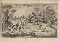 An illustration from Traicté du tabac, ou Nicotiane, panacée, pétun (1630)