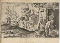 An illustration from Traicté du tabac, ou Nicotiane, panacée, pétun (1630)