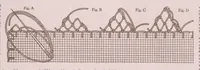 An illustration from Barbour's linen thread for needlework and crocheting. (1926)