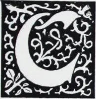 An illustration from Beaded fringe / by A.L. Crawford. (1907)