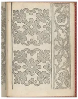 Picture 16 of 18 from Il Monte: Opera Nova di Recami (1557), leaf 20