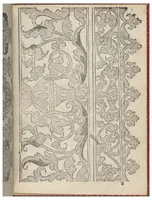 An illustration from Il Monte: Opera Nova di Recami (1557)