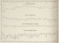 Picture 3 of 3 from Bollettino meteorologico ed astronomico del Regio Osservatorio dell'Università di Torino, 1871 (vol. 6) (1871), leaf 49