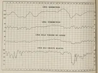 Picture 4 of 4 from Bollettino dell'Osservatorio della Regia Università di Torino, 1882 (vol. 17) (1882), leaf 49