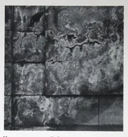 An illustration from Bonding surfaces on concrete produced by bonding Con-Tex, not a bonding paint. (1926)