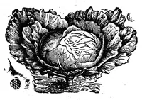 An illustration from Buddhibalkrida (1893)