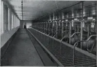 Picture 281 of 349 from Building and Engineering Catalog 1921 Edition (1921), leaf 289
