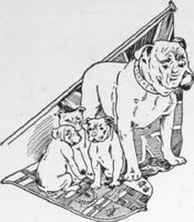 Picture 309 of 349 from Building and Engineering Catalog 1921 Edition (1921), leaf 320