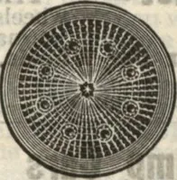 Picture 459 of 720 from Building material catalog no. 102 (1913), leaf 122