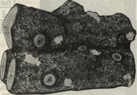 Picture 248 of 720 from Building material catalog no. 102 (1913), leaf 72