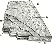 Picture 415 of 683 from Building with assurance (1921), leaf 277