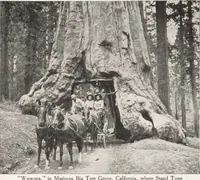 Picture 28 of 40 from How to See California and its Expositions in 1915 (1515), leaf 7