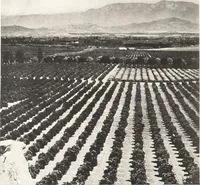 Picture 39 of 40 from How to See California and its Expositions in 1915 (1515), leaf 9