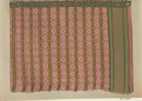 An illustration from Illustrations of the textile manufactures of India (1881)