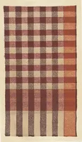 An illustration from Illustrations of the textile manufactures of India (1881)