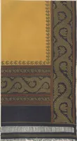 An illustration from Illustrations of the textile manufactures of India (1881)