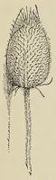 An illustration from Textiles and clothing (1919)